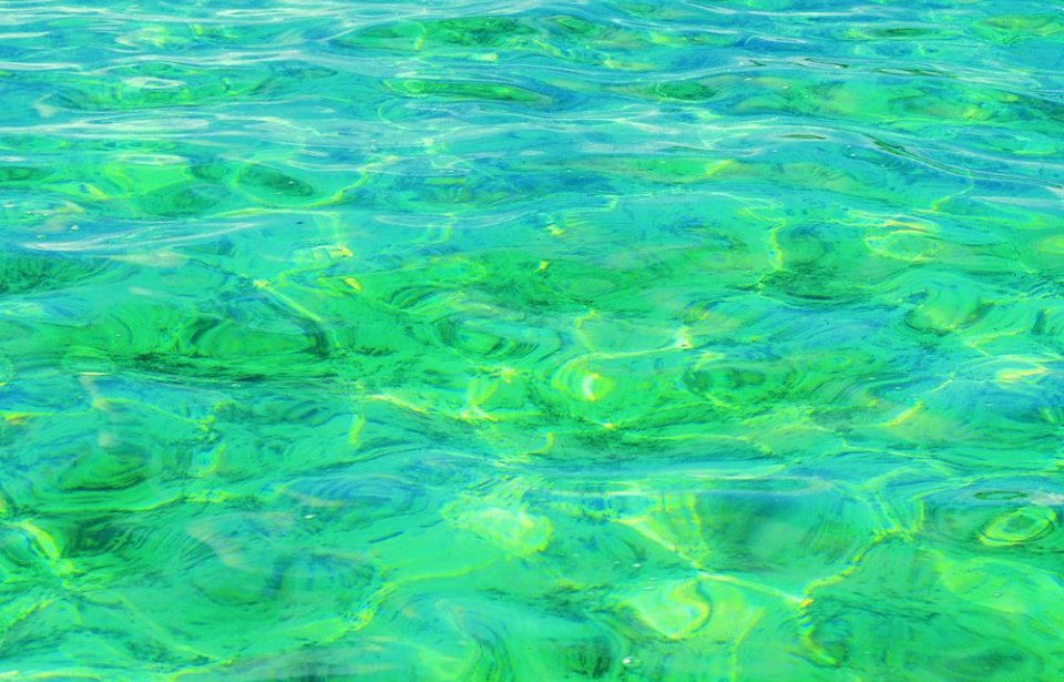 Copyright @ Comité Martiniquais du Tourisme www.martiniquetourisme.org Martinique