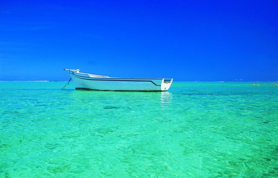 Copyright @ Comité Martiniquais du Tourisme www.martiniquetourisme.org Martinique