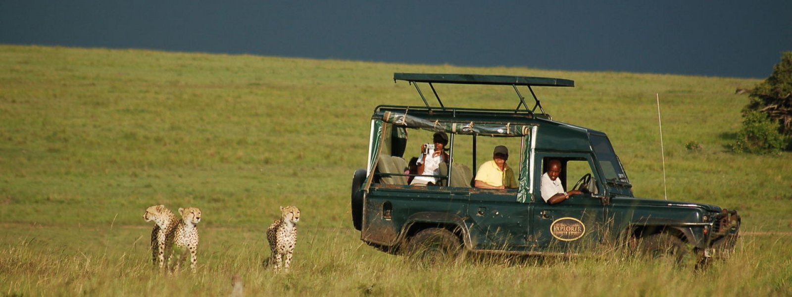 Kenia Masai Mara Mara Intrepids leopardit