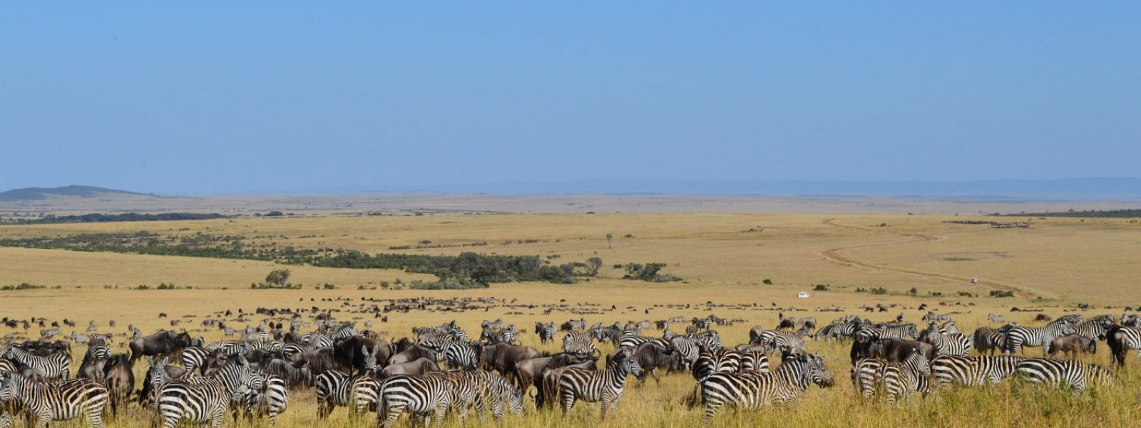 Kenia Masai Mara seeproja