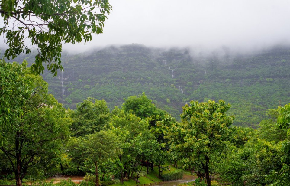 Atmantan Wellness Resort Atmantan Wellness Resort