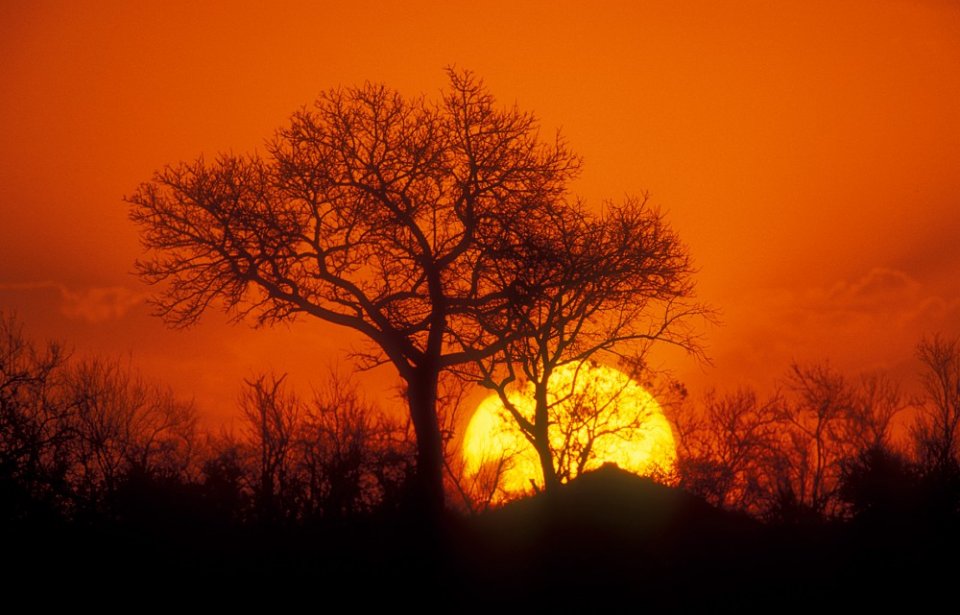 Auringonlasku Krugerin kansallispuistossa Auringonlasku Krugerin kansallispuisto, Mpumalanga