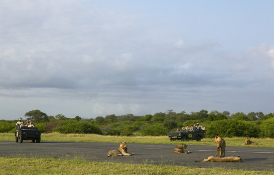 Mala Mala game reserve Mala Mala game reserve, krugerin kansallispuisto, Mpumalanga