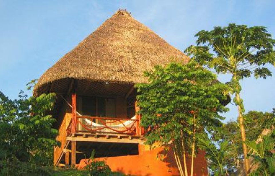 Napo Wildlife Centre Ecolodge Napo Wildlife Centre Ecolodge, Ecuador
