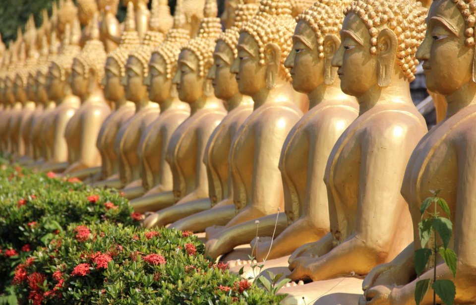 Buddha Buddha