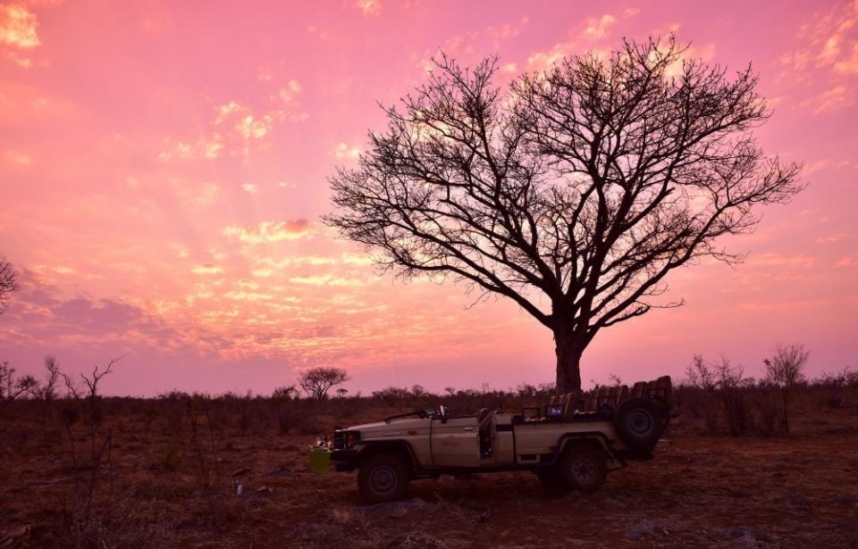 Etelä-afrikka, räätälöity, yksilöllinen, afrikka, auringonlasku, safari