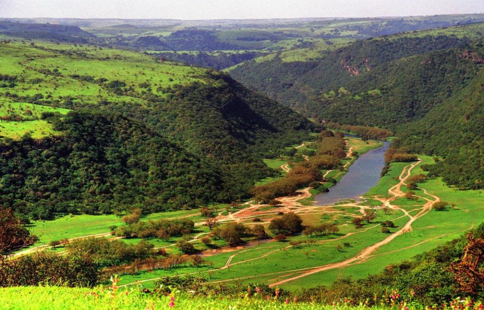 Oman