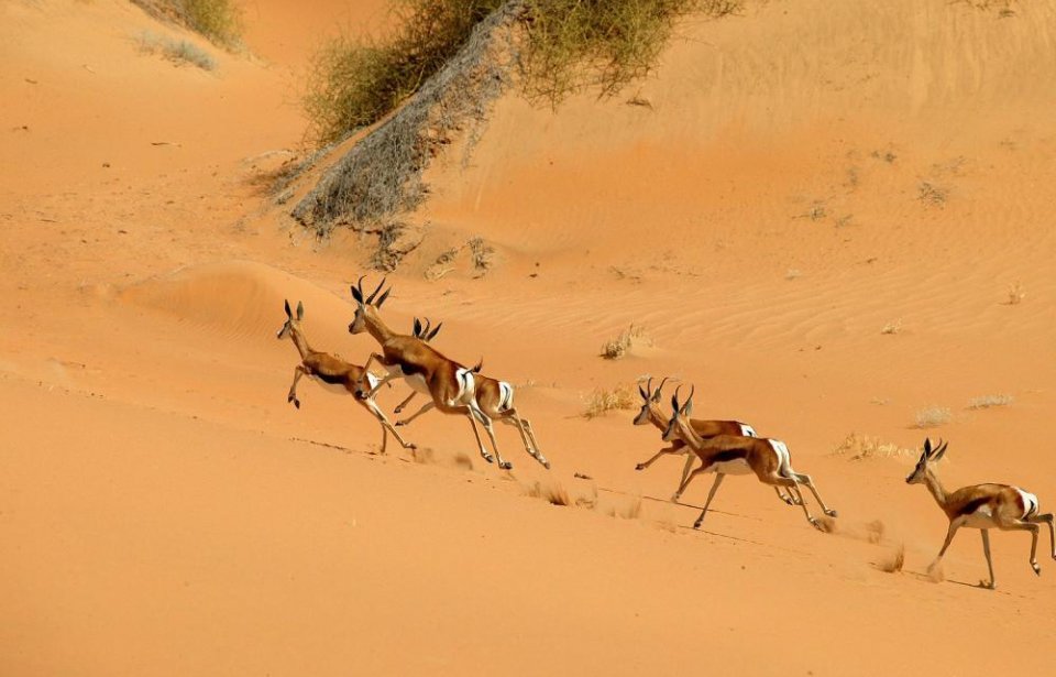 Namibia
