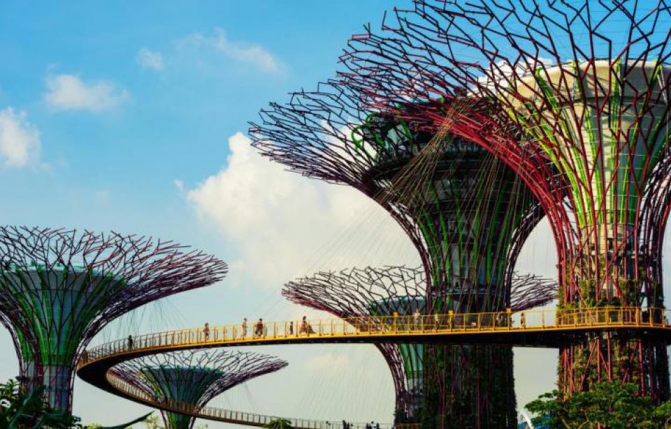 Aasia, singapore