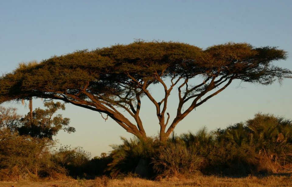 Botswana