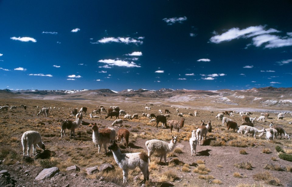 Peru