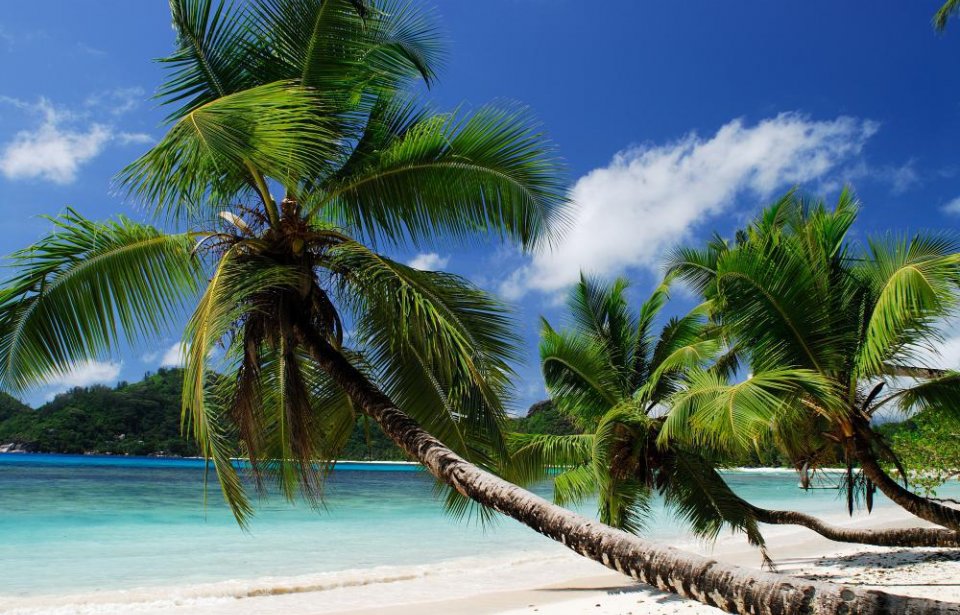 Seychellit