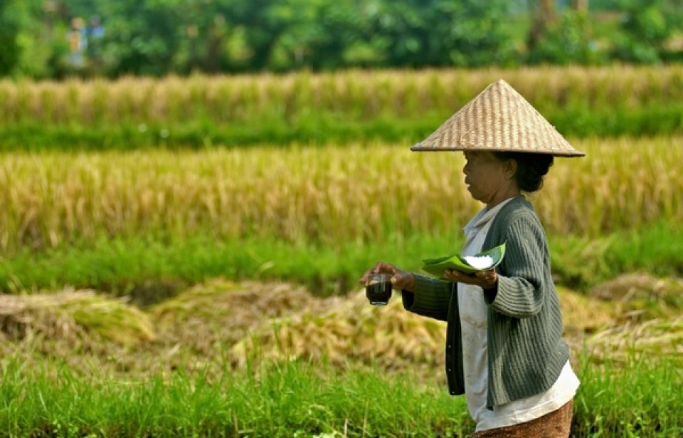 Indonesia