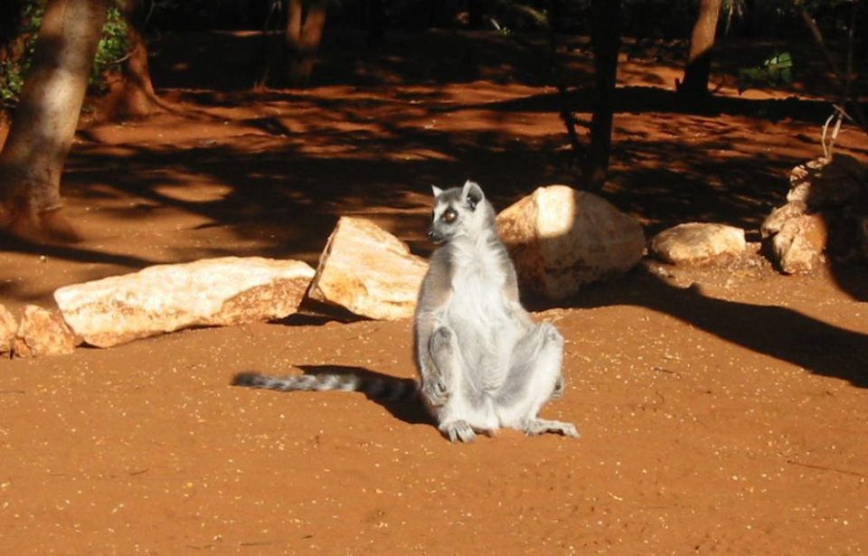 Madagaskar
