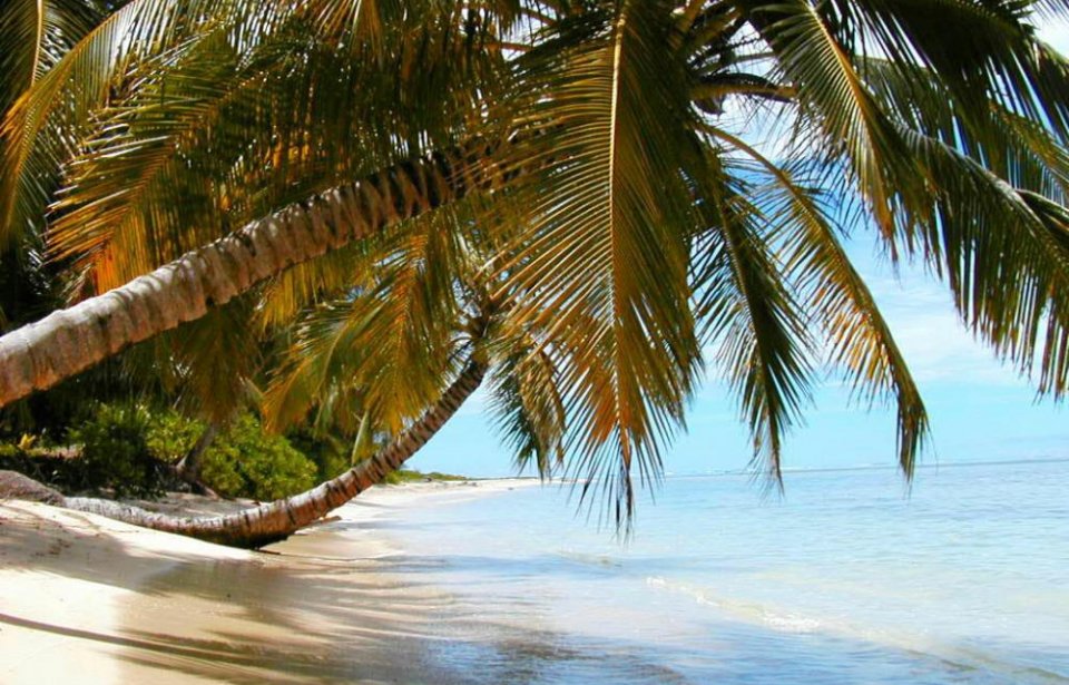 Madagaskar