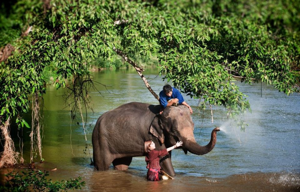 Thaimaa Thaimaa