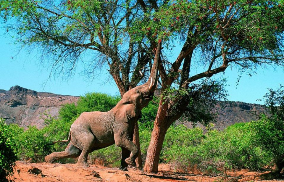 Namibia