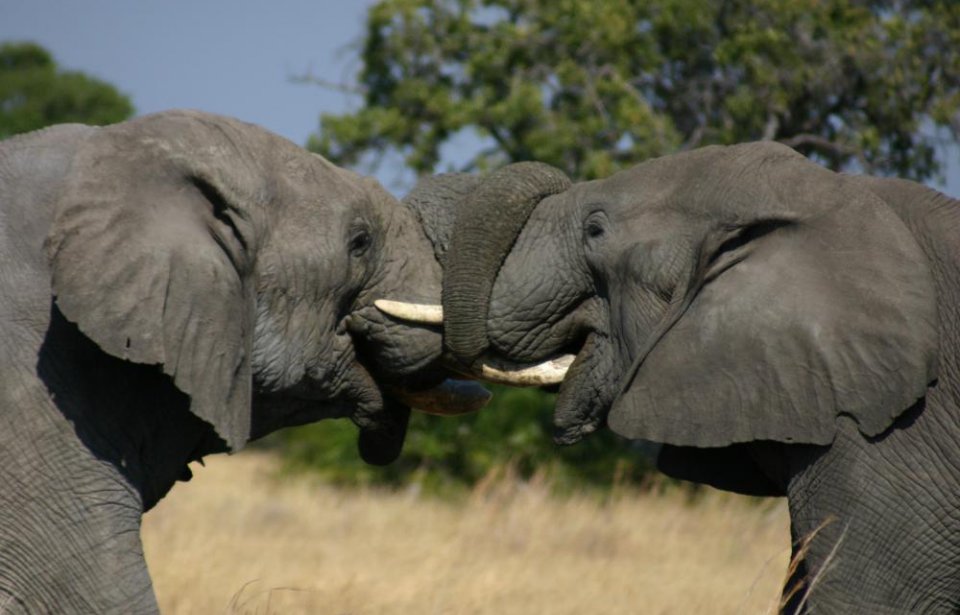 Botswana
