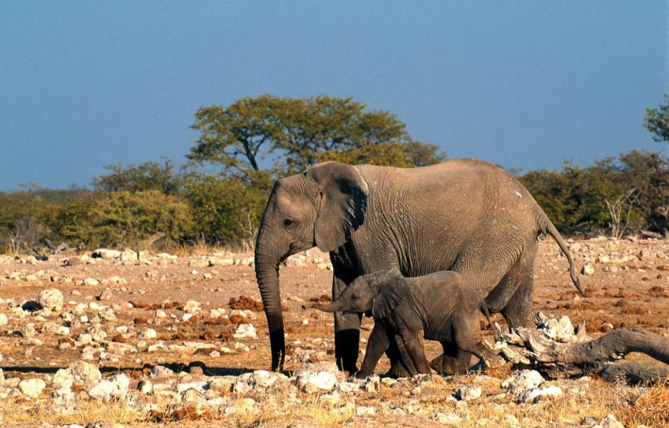 Namibia