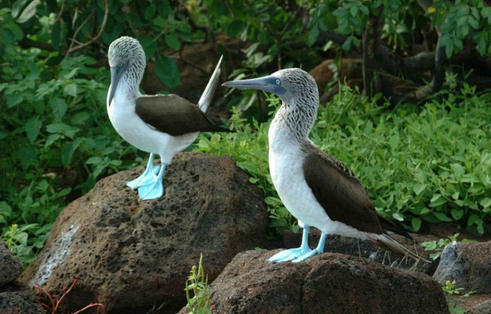 Ecuador