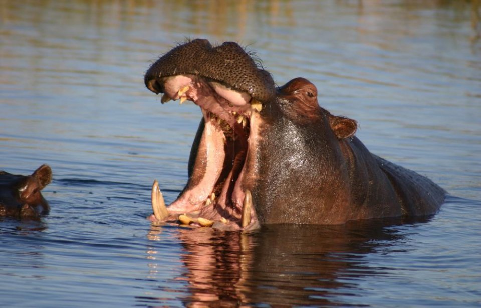 Botswana