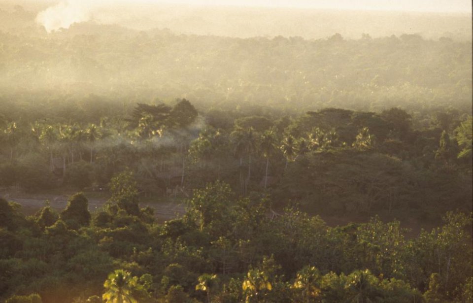 Papua Uusi-Guinea Papua uusi-guinea