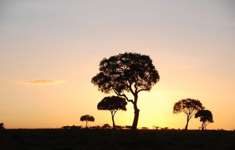 Kenia, auringonlasku Kenia