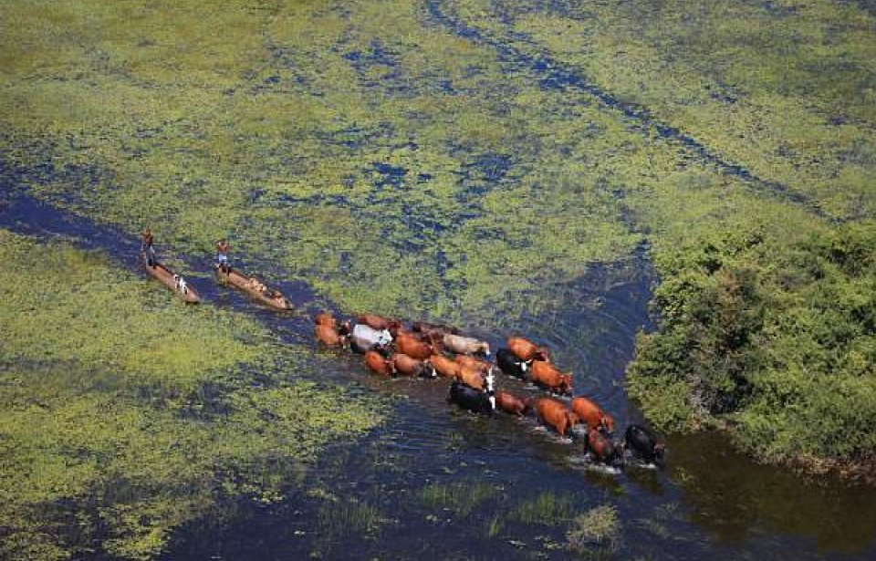 Botswana