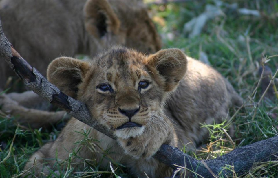 Botswana