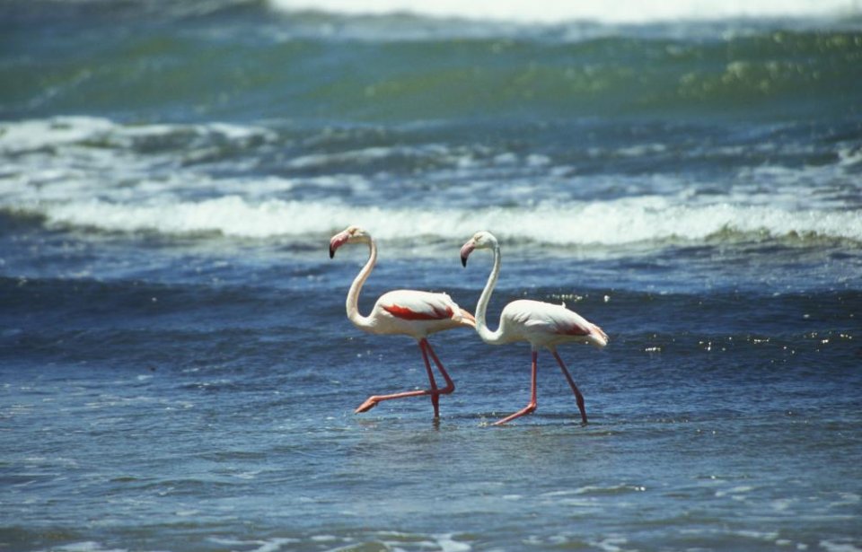 Namibia