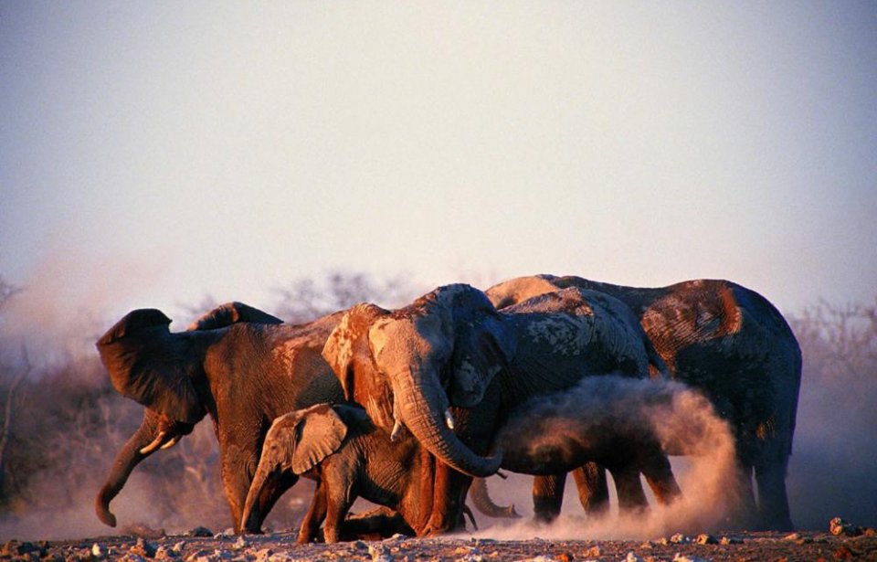 Namibia