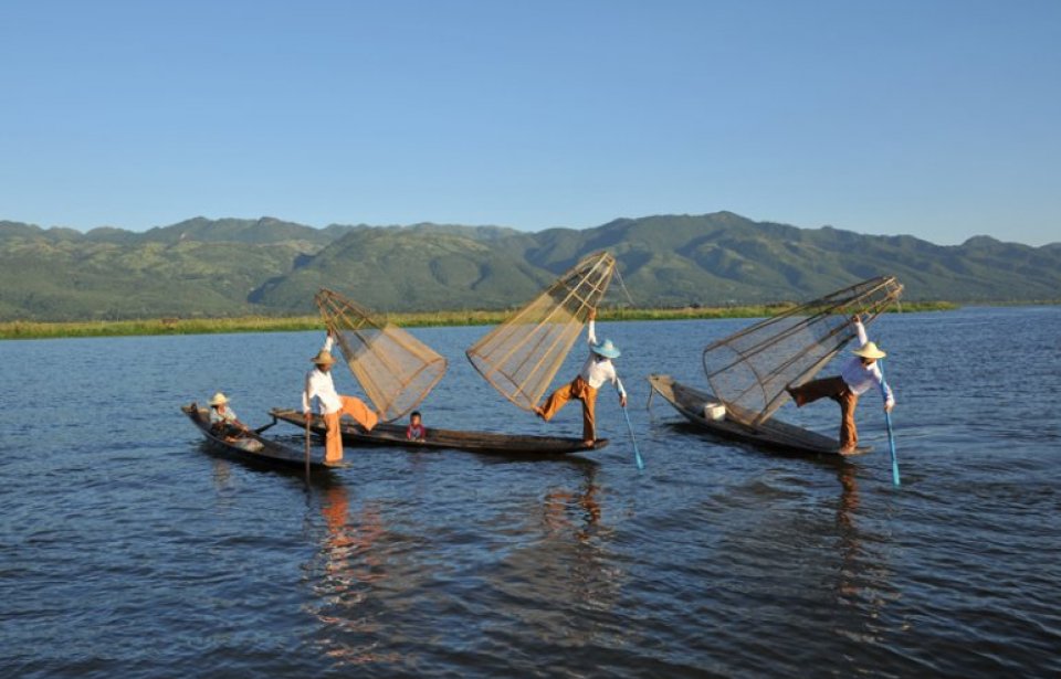 Phoca Thumb, Myanmar Myanmar
