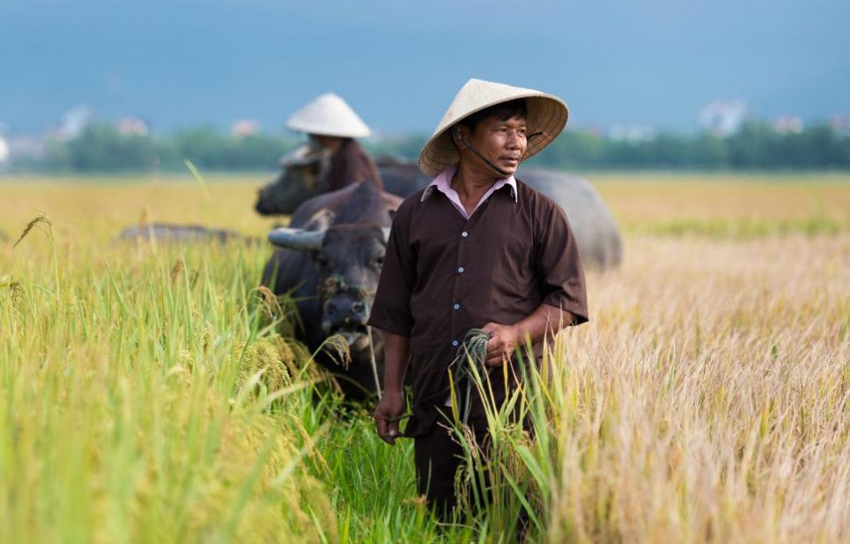 Vietnam
