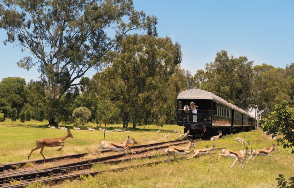 Rovos Rail Rovos Rail