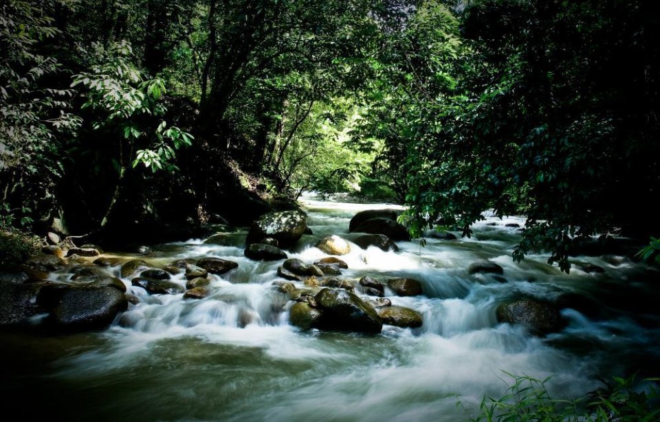 Malesia