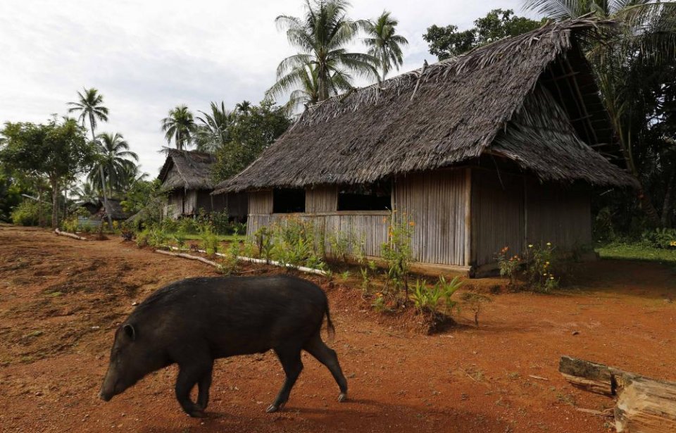 Papua Uusi-Guinea Papua uusi-guinea
