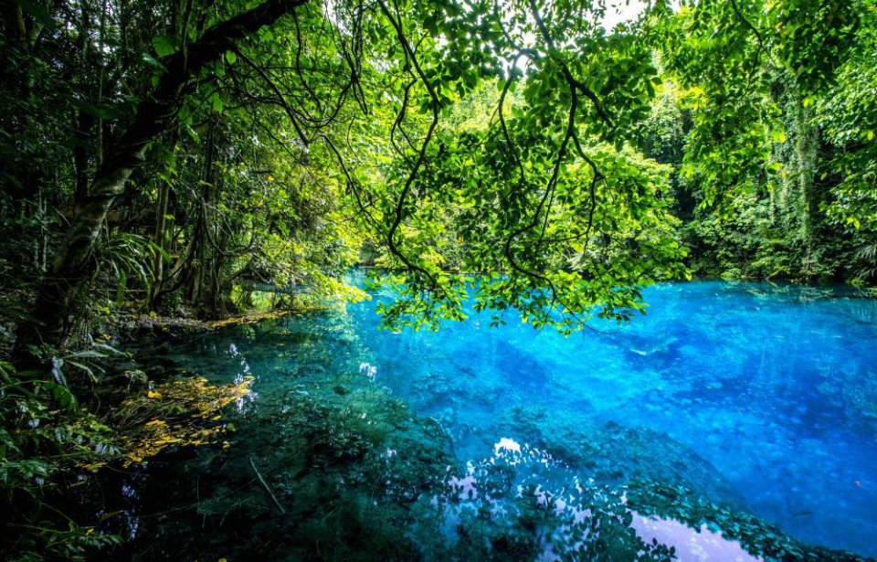 © David Kirkland Vanuatu