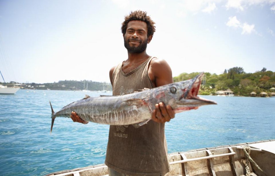 © David Kirkland Vanuatu