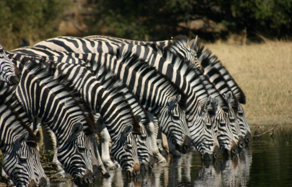 Botswana