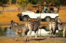 Seeproja Krugerin kansallispuistossa, Mpumalanga