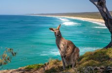 There is nothing like Australia