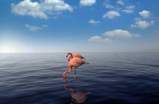 Flamingot