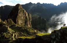 Machu Picchu, Peru, Cusco