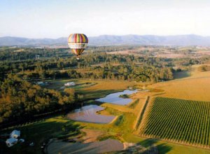 Blue Mountains retket, vineyards, Asutralia