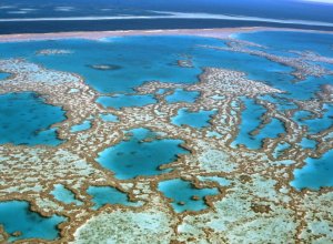 Cairns ans The Great Barrier Reef, isot valliriutat