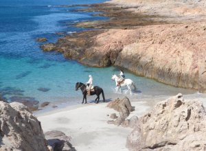 Bahia Bustamante Lodge, Argentina, Patagonia