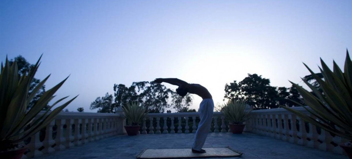 Ananda in the Himalayas