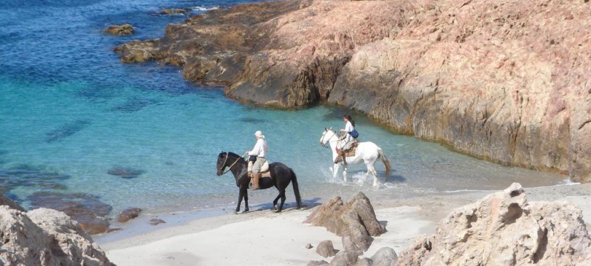 Bahia Bustamante Lodge, Argentina, Patagonia