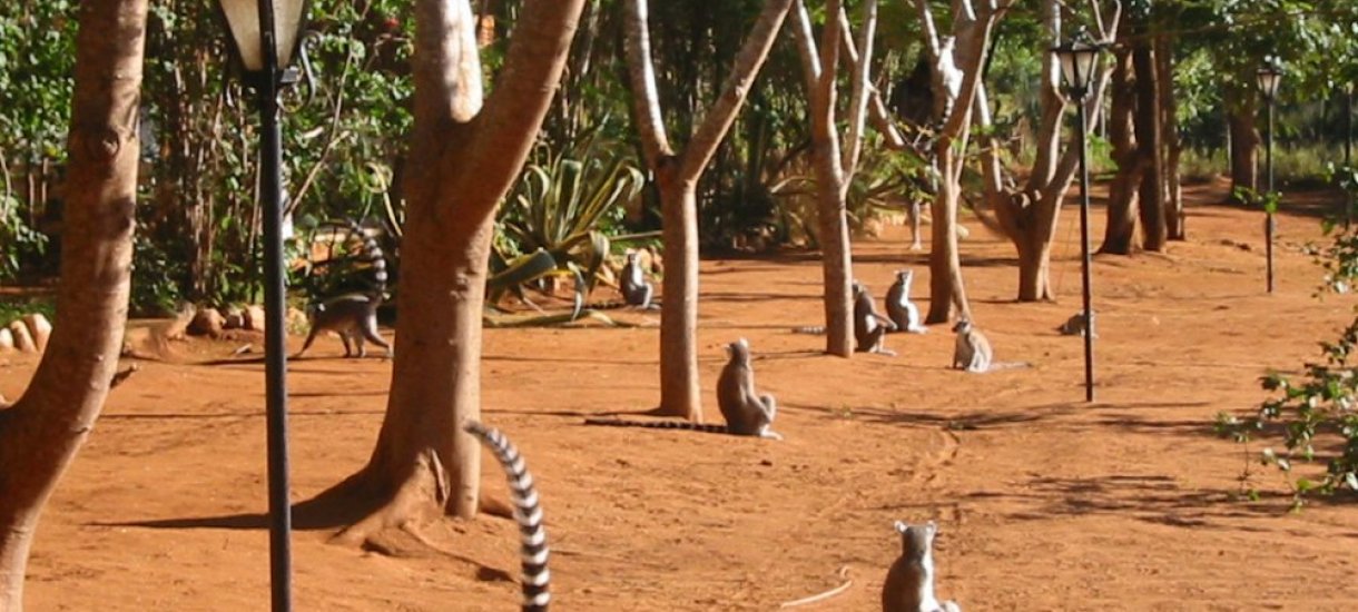 Madagaskar