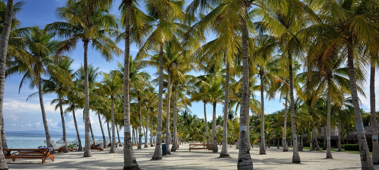 Bohol ranta